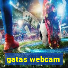 gatas webcam